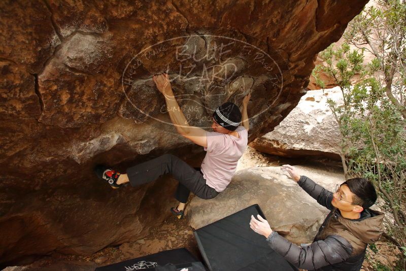 Bouldering in Hueco Tanks on 01/16/2020 with Blue Lizard Climbing and Yoga

Filename: SRM_20200116_1057410.jpg
Aperture: f/4.5
Shutter Speed: 1/250
Body: Canon EOS-1D Mark II
Lens: Canon EF 16-35mm f/2.8 L