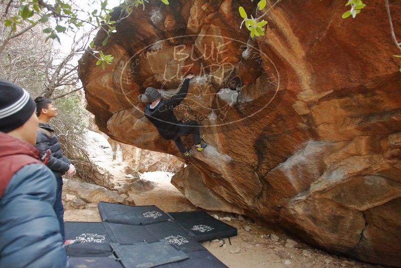 Bouldering in Hueco Tanks on 01/16/2020 with Blue Lizard Climbing and Yoga

Filename: SRM_20200116_1321430.jpg
Aperture: f/3.5
Shutter Speed: 1/200
Body: Canon EOS-1D Mark II
Lens: Canon EF 16-35mm f/2.8 L