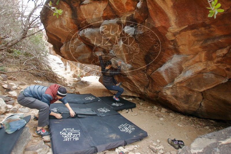 Bouldering in Hueco Tanks on 01/16/2020 with Blue Lizard Climbing and Yoga

Filename: SRM_20200116_1322230.jpg
Aperture: f/3.5
Shutter Speed: 1/200
Body: Canon EOS-1D Mark II
Lens: Canon EF 16-35mm f/2.8 L