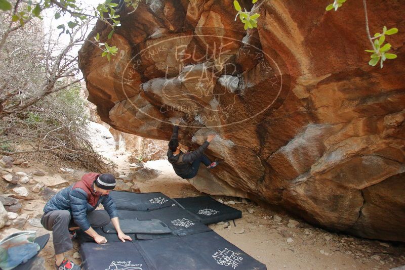 Bouldering in Hueco Tanks on 01/16/2020 with Blue Lizard Climbing and Yoga

Filename: SRM_20200116_1322250.jpg
Aperture: f/3.5
Shutter Speed: 1/200
Body: Canon EOS-1D Mark II
Lens: Canon EF 16-35mm f/2.8 L