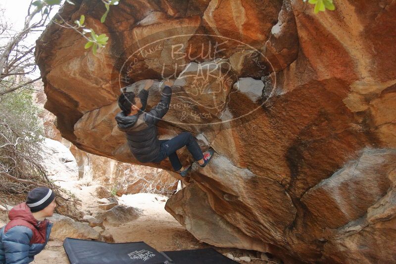 Bouldering in Hueco Tanks on 01/16/2020 with Blue Lizard Climbing and Yoga

Filename: SRM_20200116_1322320.jpg
Aperture: f/3.5
Shutter Speed: 1/200
Body: Canon EOS-1D Mark II
Lens: Canon EF 16-35mm f/2.8 L