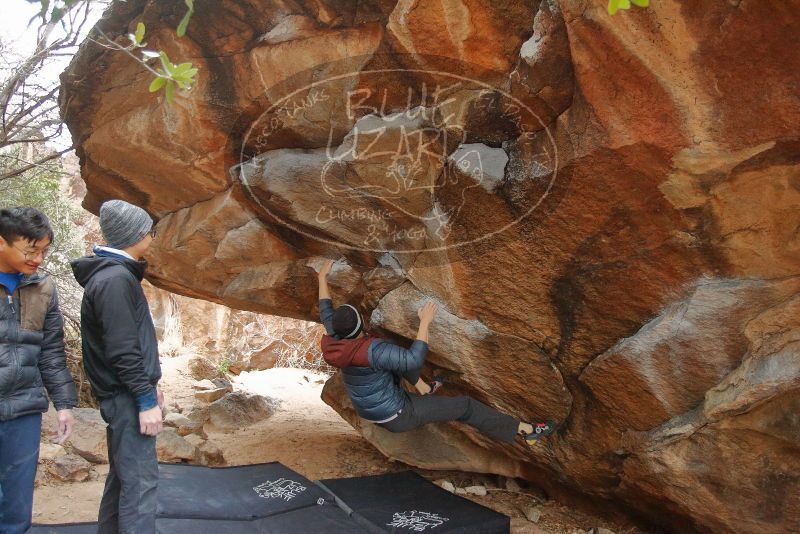 Bouldering in Hueco Tanks on 01/16/2020 with Blue Lizard Climbing and Yoga

Filename: SRM_20200116_1323260.jpg
Aperture: f/3.5
Shutter Speed: 1/200
Body: Canon EOS-1D Mark II
Lens: Canon EF 16-35mm f/2.8 L