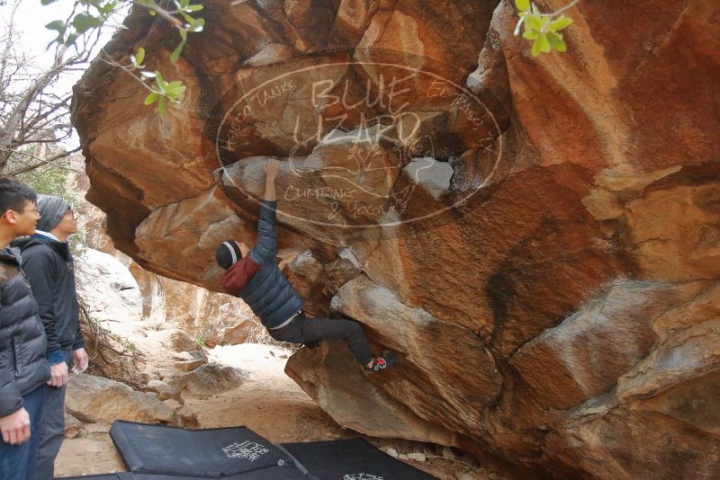 Bouldering in Hueco Tanks on 01/16/2020 with Blue Lizard Climbing and Yoga

Filename: SRM_20200116_1323320.jpg
Aperture: f/3.5
Shutter Speed: 1/200
Body: Canon EOS-1D Mark II
Lens: Canon EF 16-35mm f/2.8 L