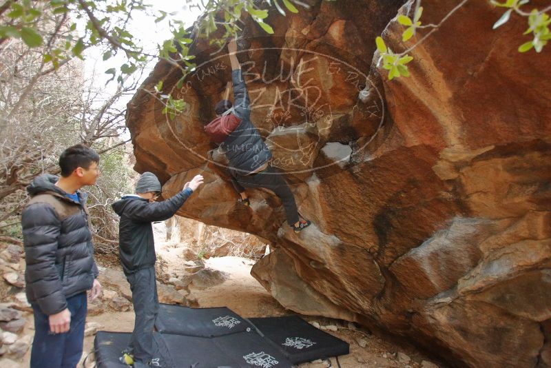 Bouldering in Hueco Tanks on 01/16/2020 with Blue Lizard Climbing and Yoga

Filename: SRM_20200116_1323430.jpg
Aperture: f/3.5
Shutter Speed: 1/200
Body: Canon EOS-1D Mark II
Lens: Canon EF 16-35mm f/2.8 L