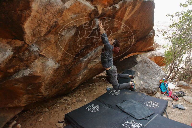 Bouldering in Hueco Tanks on 01/16/2020 with Blue Lizard Climbing and Yoga

Filename: SRM_20200116_1329540.jpg
Aperture: f/4.0
Shutter Speed: 1/250
Body: Canon EOS-1D Mark II
Lens: Canon EF 16-35mm f/2.8 L