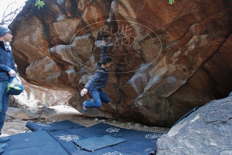 Bouldering in Hueco Tanks on 01/16/2020 with Blue Lizard Climbing and Yoga

Filename: SRM_20200116_1331581.jpg
Aperture: f/4.0
Shutter Speed: 1/250
Body: Canon EOS-1D Mark II
Lens: Canon EF 16-35mm f/2.8 L