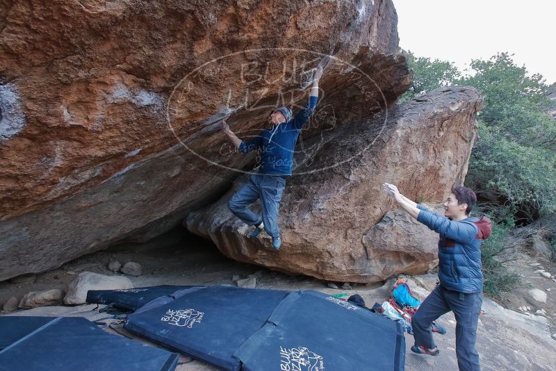 Bouldering in Hueco Tanks on 01/16/2020 with Blue Lizard Climbing and Yoga

Filename: SRM_20200116_1347451.jpg
Aperture: f/5.6
Shutter Speed: 1/250
Body: Canon EOS-1D Mark II
Lens: Canon EF 16-35mm f/2.8 L