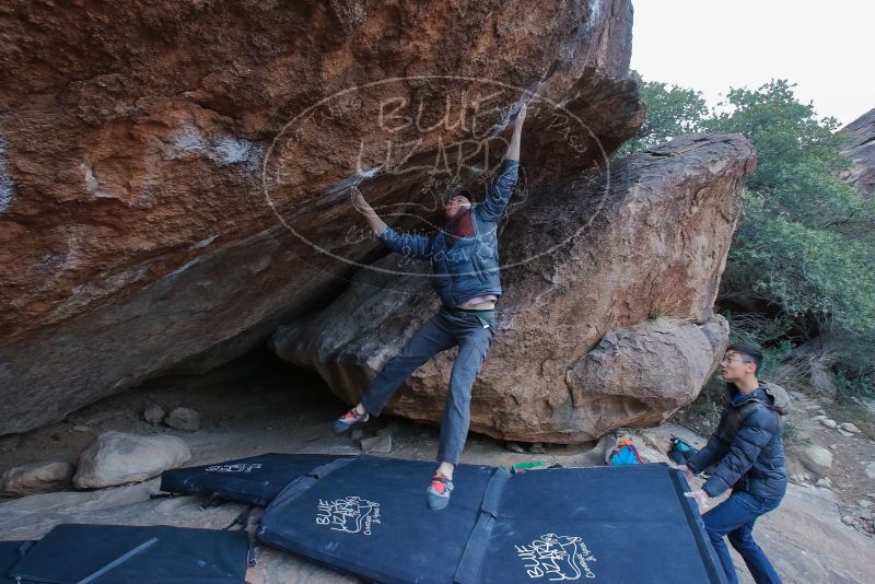 Bouldering in Hueco Tanks on 01/16/2020 with Blue Lizard Climbing and Yoga

Filename: SRM_20200116_1351000.jpg
Aperture: f/7.1
Shutter Speed: 1/250
Body: Canon EOS-1D Mark II
Lens: Canon EF 16-35mm f/2.8 L