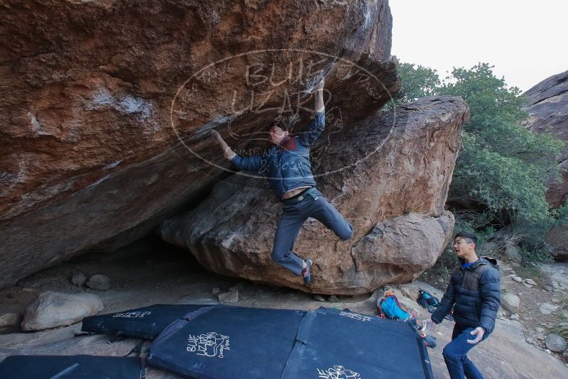 Bouldering in Hueco Tanks on 01/16/2020 with Blue Lizard Climbing and Yoga

Filename: SRM_20200116_1351010.jpg
Aperture: f/8.0
Shutter Speed: 1/250
Body: Canon EOS-1D Mark II
Lens: Canon EF 16-35mm f/2.8 L