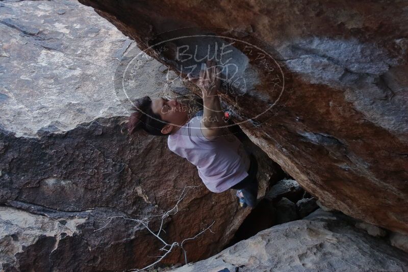 Bouldering in Hueco Tanks on 01/16/2020 with Blue Lizard Climbing and Yoga

Filename: SRM_20200116_1407171.jpg
Aperture: f/7.1
Shutter Speed: 1/320
Body: Canon EOS-1D Mark II
Lens: Canon EF 16-35mm f/2.8 L