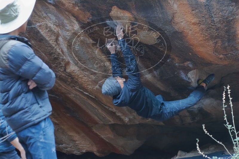 Bouldering in Hueco Tanks on 01/16/2020 with Blue Lizard Climbing and Yoga

Filename: SRM_20200116_1454480.jpg
Aperture: f/3.2
Shutter Speed: 1/250
Body: Canon EOS-1D Mark II
Lens: Canon EF 50mm f/1.8 II