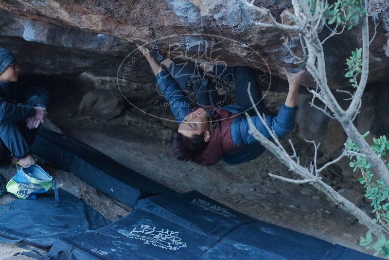 Bouldering in Hueco Tanks on 01/16/2020 with Blue Lizard Climbing and Yoga

Filename: SRM_20200116_1605190.jpg
Aperture: f/4.5
Shutter Speed: 1/250
Body: Canon EOS-1D Mark II
Lens: Canon EF 50mm f/1.8 II