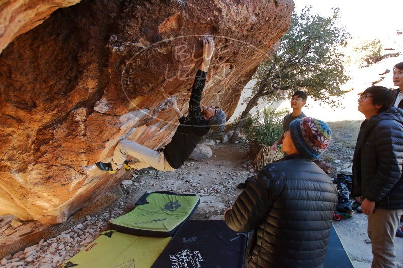 Bouldering in Hueco Tanks on 01/18/2020 with Blue Lizard Climbing and Yoga

Filename: SRM_20200118_1149450.jpg
Aperture: f/4.5
Shutter Speed: 1/250
Body: Canon EOS-1D Mark II
Lens: Canon EF 16-35mm f/2.8 L