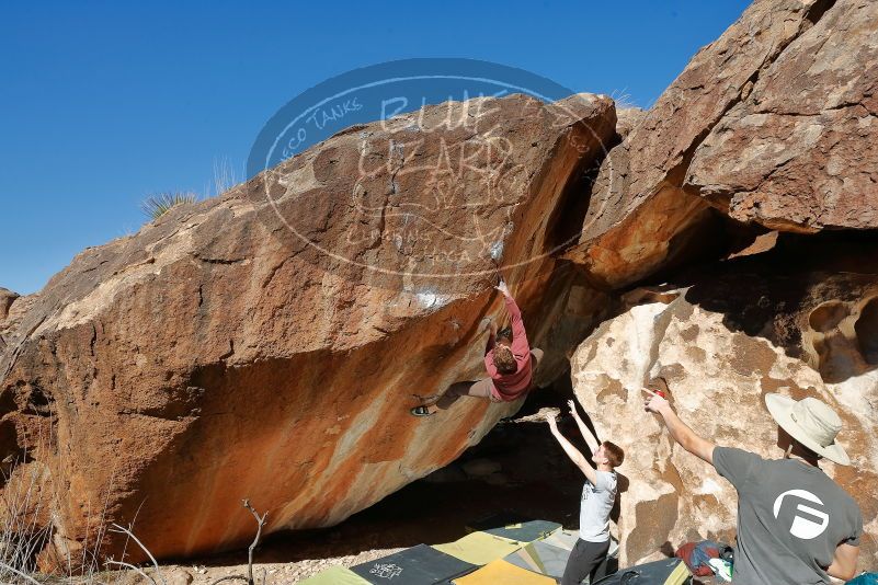 

Filename: SRM_20200118_1234590.jpg
Aperture: f/8.0
Shutter Speed: 1/250
Body: Canon EOS-1D Mark II
Lens: Canon EF 16-35mm f/2.8 L