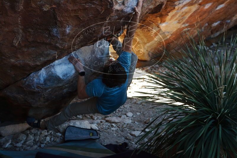 Bouldering in Hueco Tanks on 01/18/2020 with Blue Lizard Climbing and Yoga

Filename: SRM_20200118_1129550.jpg
Aperture: f/6.3
Shutter Speed: 1/250
Body: Canon EOS-1D Mark II
Lens: Canon EF 50mm f/1.8 II