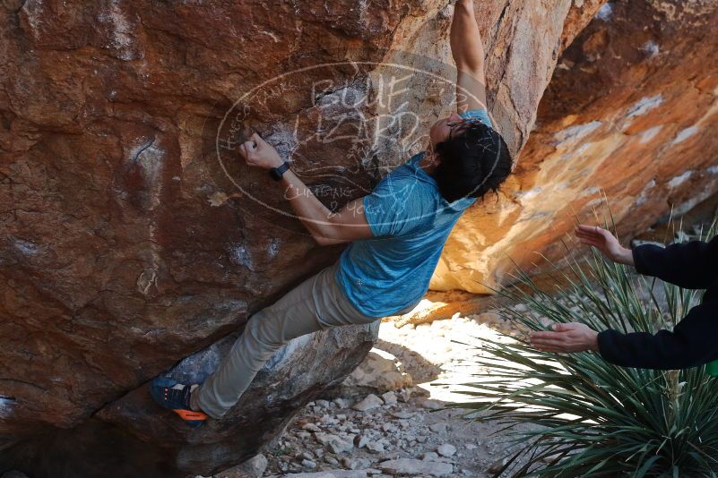 Bouldering in Hueco Tanks on 01/18/2020 with Blue Lizard Climbing and Yoga

Filename: SRM_20200118_1130110.jpg
Aperture: f/5.0
Shutter Speed: 1/250
Body: Canon EOS-1D Mark II
Lens: Canon EF 50mm f/1.8 II