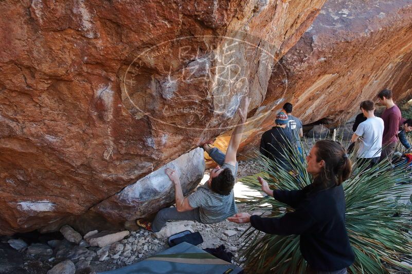 Bouldering in Hueco Tanks on 01/18/2020 with Blue Lizard Climbing and Yoga

Filename: SRM_20200118_1148030.jpg
Aperture: f/5.0
Shutter Speed: 1/250
Body: Canon EOS-1D Mark II
Lens: Canon EF 16-35mm f/2.8 L