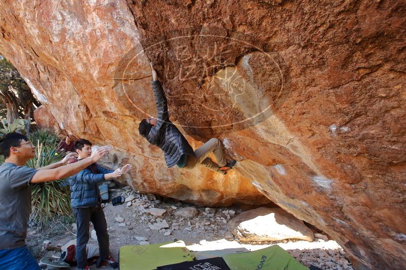 Bouldering in Hueco Tanks on 01/18/2020 with Blue Lizard Climbing and Yoga

Filename: SRM_20200118_1153490.jpg
Aperture: f/5.0
Shutter Speed: 1/250
Body: Canon EOS-1D Mark II
Lens: Canon EF 16-35mm f/2.8 L