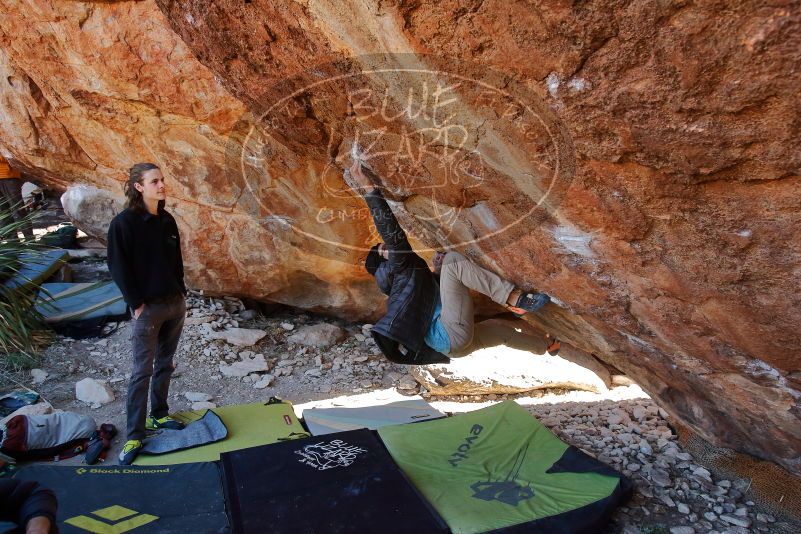 Bouldering in Hueco Tanks on 01/18/2020 with Blue Lizard Climbing and Yoga

Filename: SRM_20200118_1203350.jpg
Aperture: f/5.0
Shutter Speed: 1/250
Body: Canon EOS-1D Mark II
Lens: Canon EF 16-35mm f/2.8 L