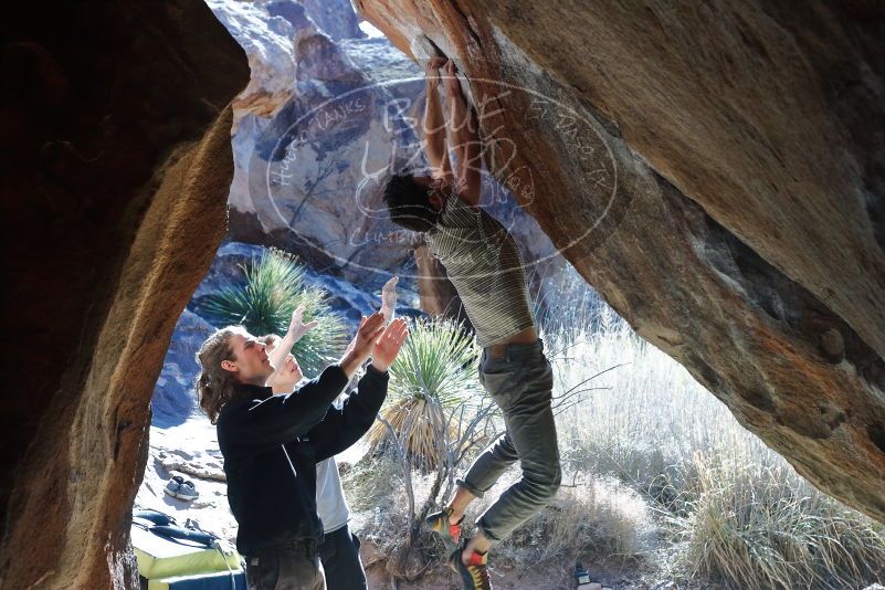 Bouldering in Hueco Tanks on 01/18/2020 with Blue Lizard Climbing and Yoga

Filename: SRM_20200118_1304520.jpg
Aperture: f/5.0
Shutter Speed: 1/250
Body: Canon EOS-1D Mark II
Lens: Canon EF 50mm f/1.8 II