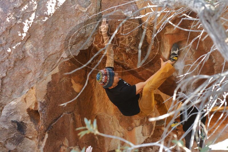 Bouldering in Hueco Tanks on 01/18/2020 with Blue Lizard Climbing and Yoga

Filename: SRM_20200118_1406190.jpg
Aperture: f/3.5
Shutter Speed: 1/250
Body: Canon EOS-1D Mark II
Lens: Canon EF 50mm f/1.8 II