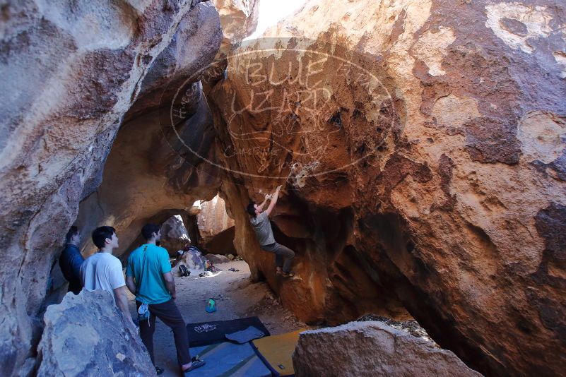 Bouldering in Hueco Tanks on 01/18/2020 with Blue Lizard Climbing and Yoga

Filename: SRM_20200118_1623450.jpg
Aperture: f/5.0
Shutter Speed: 1/250
Body: Canon EOS-1D Mark II
Lens: Canon EF 16-35mm f/2.8 L