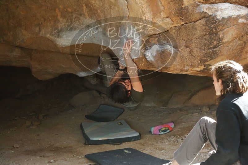 Bouldering in Hueco Tanks on 01/19/2020 with Blue Lizard Climbing and Yoga

Filename: SRM_20200119_1251270.jpg
Aperture: f/3.5
Shutter Speed: 1/250
Body: Canon EOS-1D Mark II
Lens: Canon EF 50mm f/1.8 II