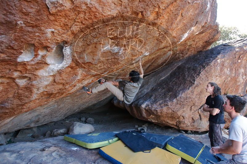 Bouldering in Hueco Tanks on 01/19/2020 with Blue Lizard Climbing and Yoga

Filename: SRM_20200119_1307290.jpg
Aperture: f/4.5
Shutter Speed: 1/320
Body: Canon EOS-1D Mark II
Lens: Canon EF 16-35mm f/2.8 L