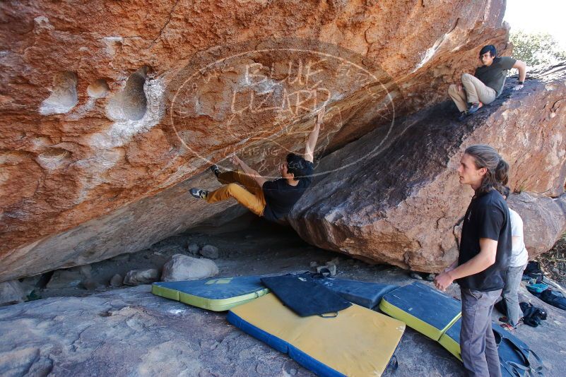 Bouldering in Hueco Tanks on 01/19/2020 with Blue Lizard Climbing and Yoga

Filename: SRM_20200119_1308570.jpg
Aperture: f/4.5
Shutter Speed: 1/320
Body: Canon EOS-1D Mark II
Lens: Canon EF 16-35mm f/2.8 L