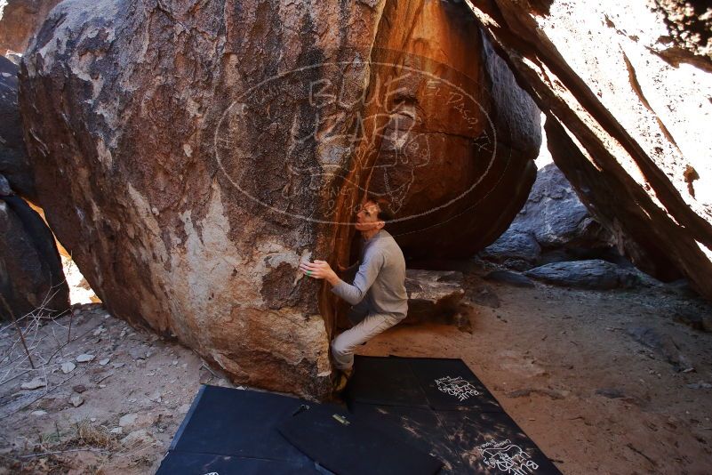 Bouldering in Hueco Tanks on 01/19/2020 with Blue Lizard Climbing and Yoga

Filename: SRM_20200119_1313190.jpg
Aperture: f/4.0
Shutter Speed: 1/320
Body: Canon EOS-1D Mark II
Lens: Canon EF 16-35mm f/2.8 L