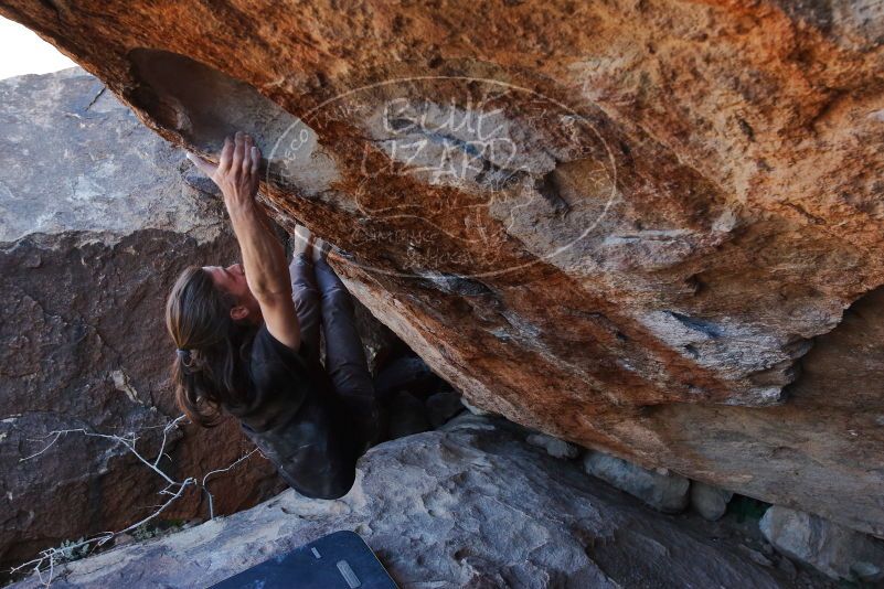 Bouldering in Hueco Tanks on 01/19/2020 with Blue Lizard Climbing and Yoga

Filename: SRM_20200119_1338000.jpg
Aperture: f/5.6
Shutter Speed: 1/320
Body: Canon EOS-1D Mark II
Lens: Canon EF 16-35mm f/2.8 L