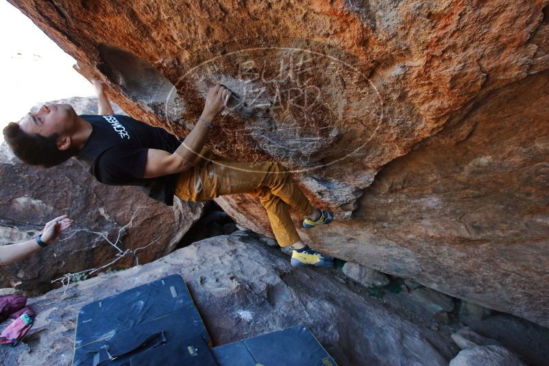 Bouldering in Hueco Tanks on 01/19/2020 with Blue Lizard Climbing and Yoga

Filename: SRM_20200119_1342410.jpg
Aperture: f/5.0
Shutter Speed: 1/320
Body: Canon EOS-1D Mark II
Lens: Canon EF 16-35mm f/2.8 L