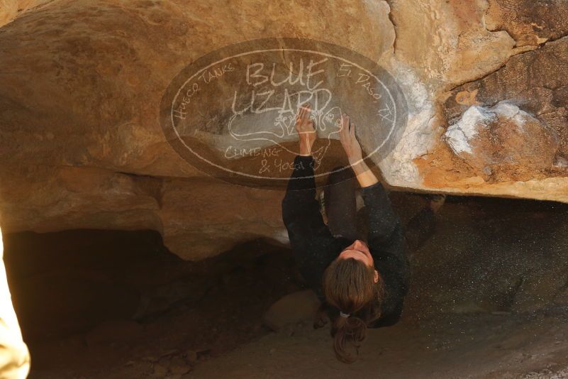 Bouldering in Hueco Tanks on 01/19/2020 with Blue Lizard Climbing and Yoga

Filename: SRM_20200119_1434191.jpg
Aperture: f/3.5
Shutter Speed: 1/320
Body: Canon EOS-1D Mark II
Lens: Canon EF 50mm f/1.8 II