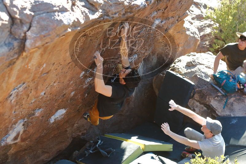 Bouldering in Hueco Tanks on 01/19/2020 with Blue Lizard Climbing and Yoga

Filename: SRM_20200119_1717460.jpg
Aperture: f/3.5
Shutter Speed: 1/320
Body: Canon EOS-1D Mark II
Lens: Canon EF 50mm f/1.8 II