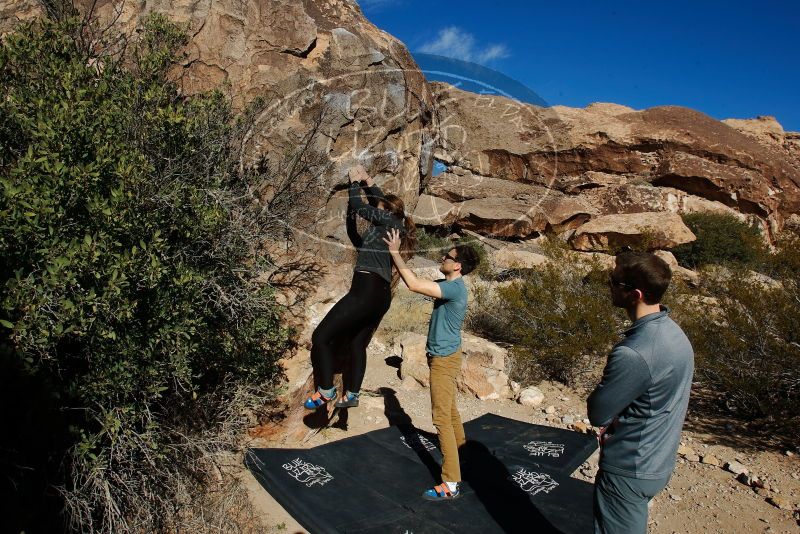 Bouldering in Hueco Tanks on 01/26/2020 with Blue Lizard Climbing and Yoga

Filename: SRM_20200126_1109040.jpg
Aperture: f/10.0
Shutter Speed: 1/400
Body: Canon EOS-1D Mark II
Lens: Canon EF 16-35mm f/2.8 L