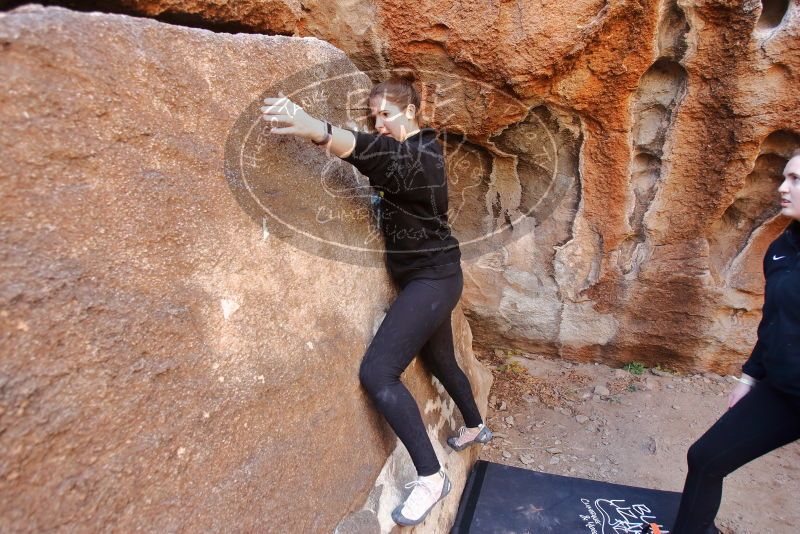 Bouldering in Hueco Tanks on 01/26/2020 with Blue Lizard Climbing and Yoga

Filename: SRM_20200126_1127080.jpg
Aperture: f/4.0
Shutter Speed: 1/200
Body: Canon EOS-1D Mark II
Lens: Canon EF 16-35mm f/2.8 L