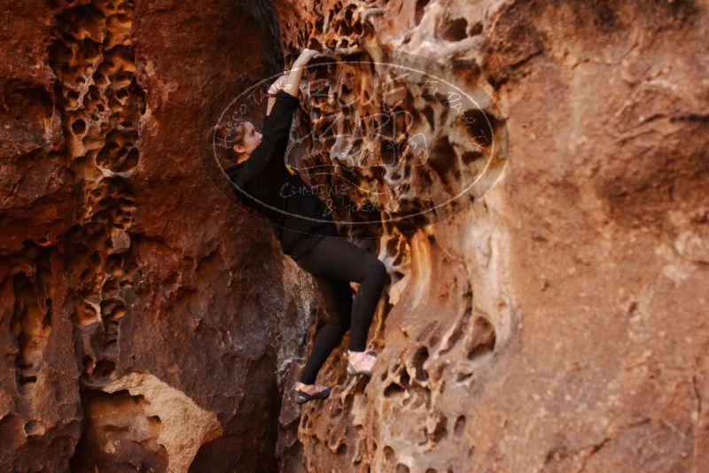 Bouldering in Hueco Tanks on 01/26/2020 with Blue Lizard Climbing and Yoga

Filename: SRM_20200126_1241000.jpg
Aperture: f/2.8
Shutter Speed: 1/125
Body: Canon EOS-1D Mark II
Lens: Canon EF 16-35mm f/2.8 L