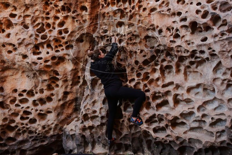 Bouldering in Hueco Tanks on 01/26/2020 with Blue Lizard Climbing and Yoga

Filename: SRM_20200126_1250440.jpg
Aperture: f/3.5
Shutter Speed: 1/125
Body: Canon EOS-1D Mark II
Lens: Canon EF 16-35mm f/2.8 L