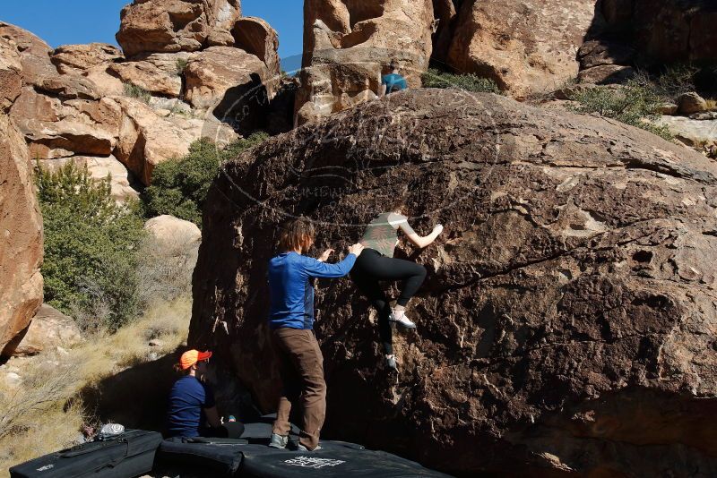 Bouldering in Hueco Tanks on 01/26/2020 with Blue Lizard Climbing and Yoga

Filename: SRM_20200126_1423320.jpg
Aperture: f/8.0
Shutter Speed: 1/400
Body: Canon EOS-1D Mark II
Lens: Canon EF 16-35mm f/2.8 L