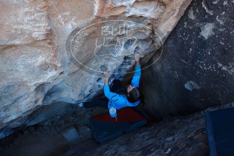 Bouldering in Hueco Tanks on 01/27/2020 with Blue Lizard Climbing and Yoga

Filename: SRM_20200127_1044590.jpg
Aperture: f/5.0
Shutter Speed: 1/250
Body: Canon EOS-1D Mark II
Lens: Canon EF 16-35mm f/2.8 L