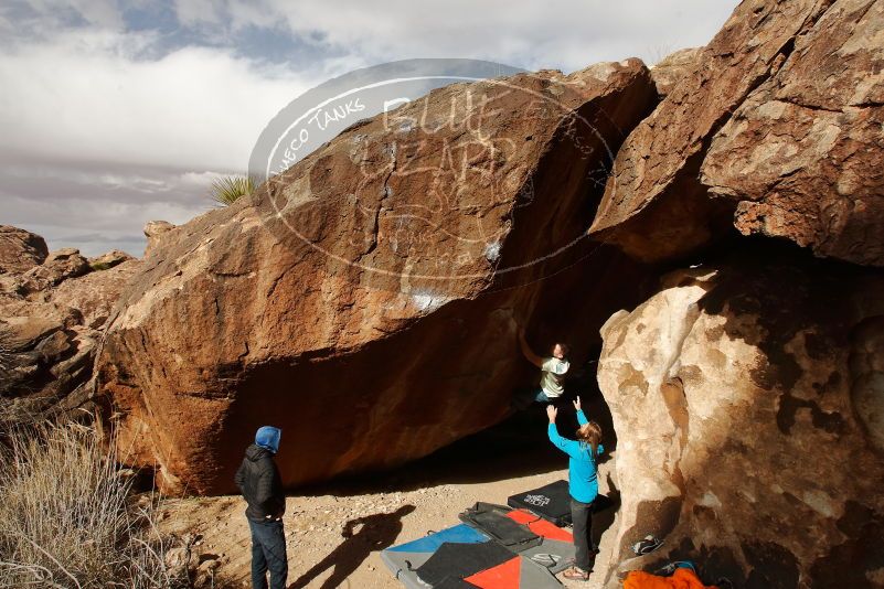 Bouldering in Hueco Tanks on 01/27/2020 with Blue Lizard Climbing and Yoga

Filename: SRM_20200127_1202220.jpg
Aperture: f/8.0
Shutter Speed: 1/500
Body: Canon EOS-1D Mark II
Lens: Canon EF 16-35mm f/2.8 L