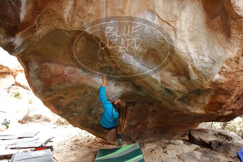 Bouldering in Hueco Tanks on 01/27/2020 with Blue Lizard Climbing and Yoga

Filename: SRM_20200127_1212530.jpg
Aperture: f/3.2
Shutter Speed: 1/250
Body: Canon EOS-1D Mark II
Lens: Canon EF 16-35mm f/2.8 L