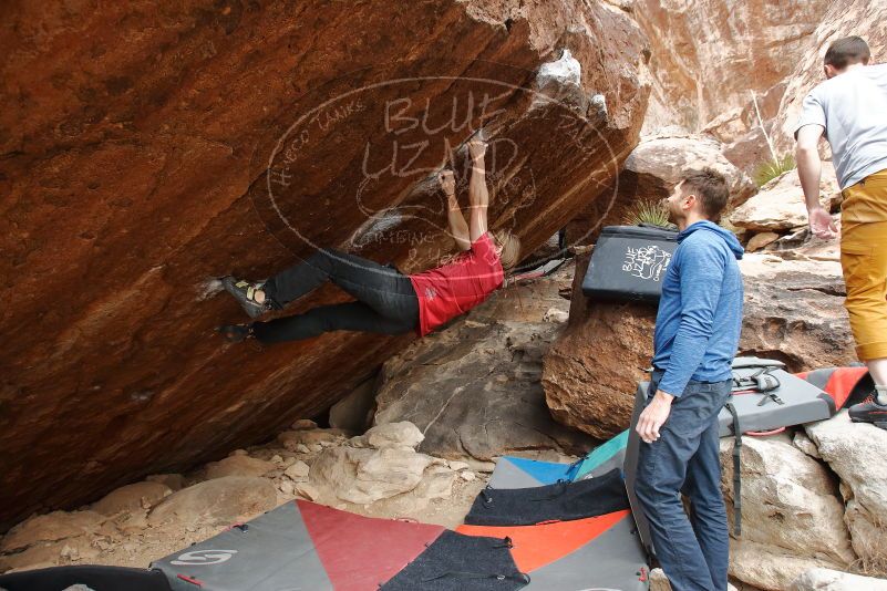 Bouldering in Hueco Tanks on 01/27/2020 with Blue Lizard Climbing and Yoga

Filename: SRM_20200127_1243510.jpg
Aperture: f/4.5
Shutter Speed: 1/250
Body: Canon EOS-1D Mark II
Lens: Canon EF 16-35mm f/2.8 L