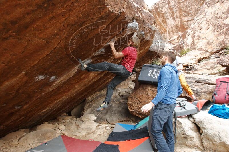 Bouldering in Hueco Tanks on 01/27/2020 with Blue Lizard Climbing and Yoga

Filename: SRM_20200127_1243541.jpg
Aperture: f/4.5
Shutter Speed: 1/250
Body: Canon EOS-1D Mark II
Lens: Canon EF 16-35mm f/2.8 L