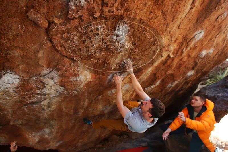 Bouldering in Hueco Tanks on 01/27/2020 with Blue Lizard Climbing and Yoga

Filename: SRM_20200127_1331082.jpg
Aperture: f/4.5
Shutter Speed: 1/320
Body: Canon EOS-1D Mark II
Lens: Canon EF 16-35mm f/2.8 L