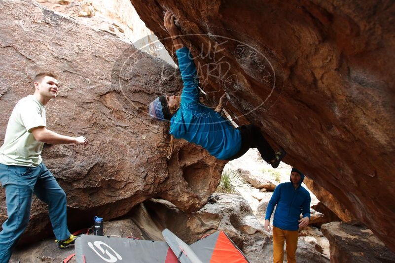 Bouldering in Hueco Tanks on 01/27/2020 with Blue Lizard Climbing and Yoga

Filename: SRM_20200127_1406391.jpg
Aperture: f/4.5
Shutter Speed: 1/250
Body: Canon EOS-1D Mark II
Lens: Canon EF 16-35mm f/2.8 L