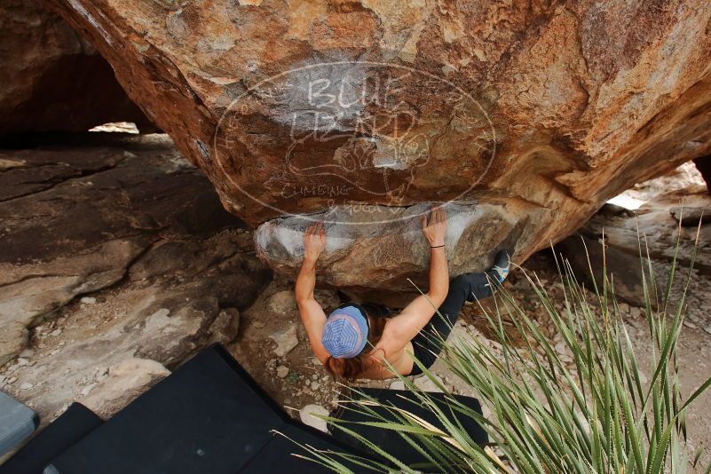 Bouldering in Hueco Tanks on 01/27/2020 with Blue Lizard Climbing and Yoga

Filename: SRM_20200127_1508460.jpg
Aperture: f/5.6
Shutter Speed: 1/250
Body: Canon EOS-1D Mark II
Lens: Canon EF 16-35mm f/2.8 L