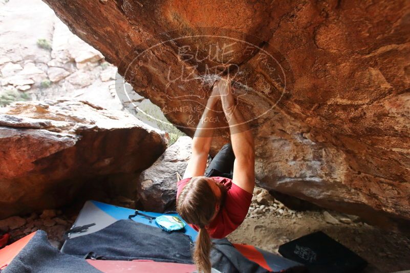 Bouldering in Hueco Tanks on 01/27/2020 with Blue Lizard Climbing and Yoga

Filename: SRM_20200127_1605310.jpg
Aperture: f/4.5
Shutter Speed: 1/250
Body: Canon EOS-1D Mark II
Lens: Canon EF 16-35mm f/2.8 L