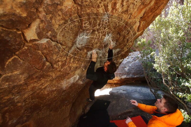 Bouldering in Hueco Tanks on 01/29/2020 with Blue Lizard Climbing and Yoga

Filename: SRM_20200129_1207150.jpg
Aperture: f/5.0
Shutter Speed: 1/250
Body: Canon EOS-1D Mark II
Lens: Canon EF 16-35mm f/2.8 L