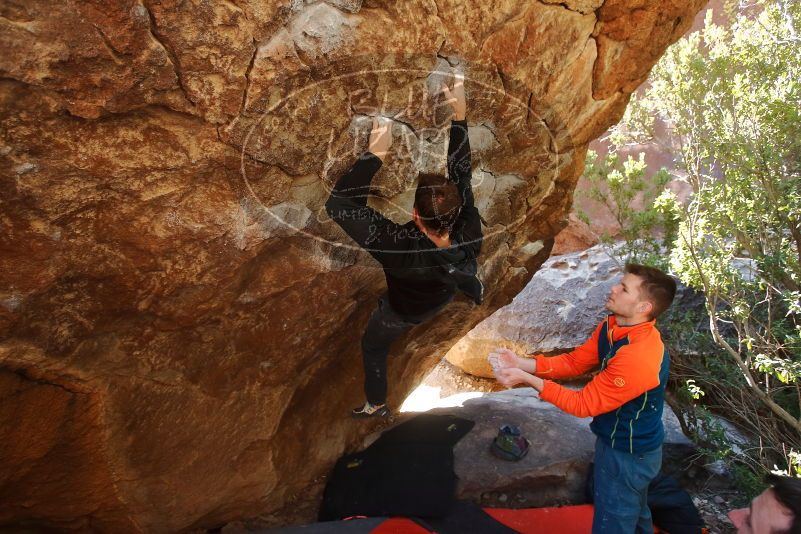 Bouldering in Hueco Tanks on 01/29/2020 with Blue Lizard Climbing and Yoga

Filename: SRM_20200129_1212370.jpg
Aperture: f/4.5
Shutter Speed: 1/250
Body: Canon EOS-1D Mark II
Lens: Canon EF 16-35mm f/2.8 L